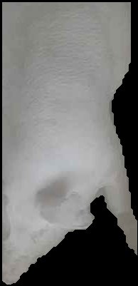 Crop