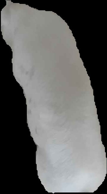 Crop