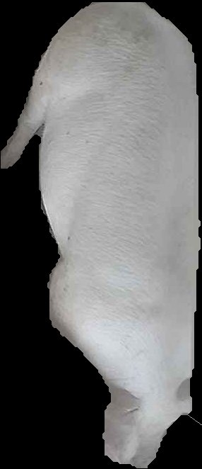 Crop