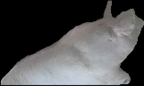 Crop