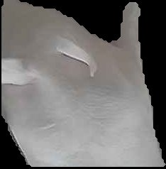 Crop