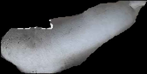 Crop