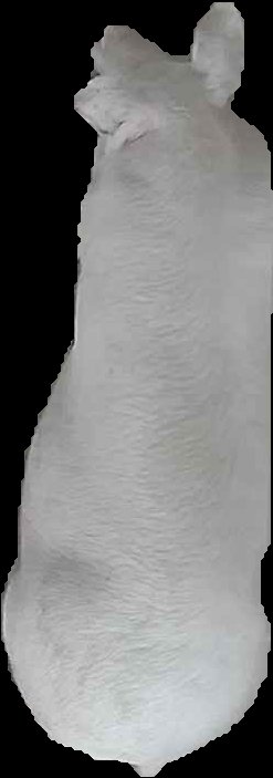 Crop