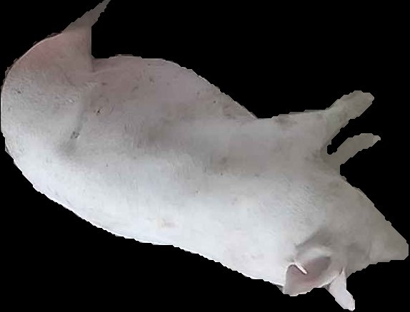 Crop