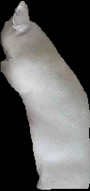 Crop
