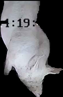 Crop