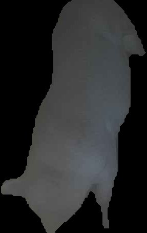 Crop