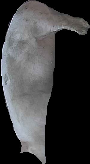 Crop