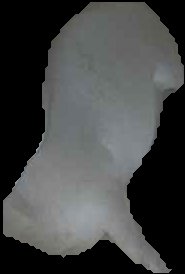 Crop