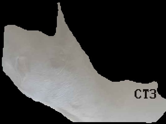 Crop