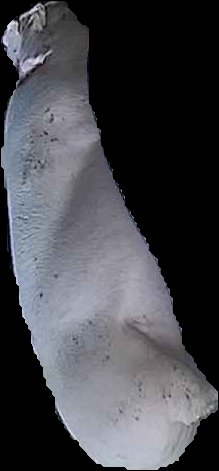 Crop