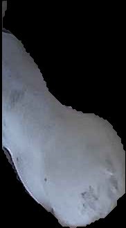 Crop