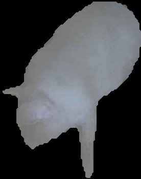 Crop