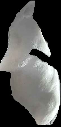 Crop