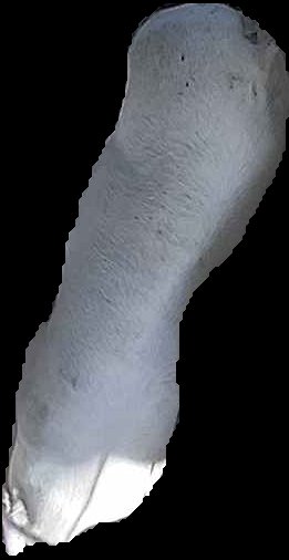 Crop