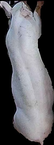 Crop