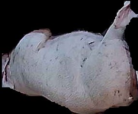 Crop