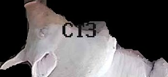 Crop