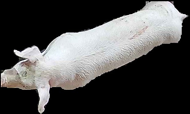 Crop