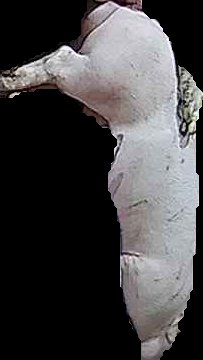 Crop