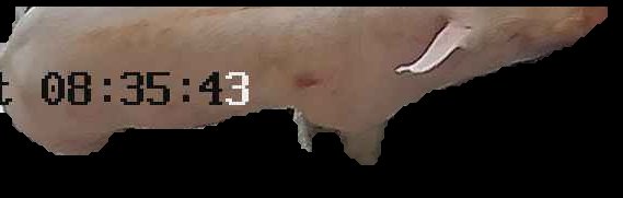 Crop