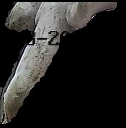 Crop