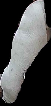 Crop