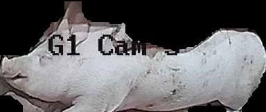 Crop