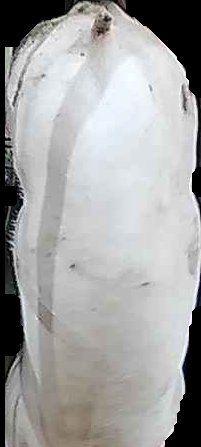 Crop