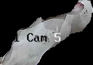 Crop