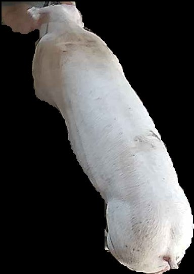 Crop