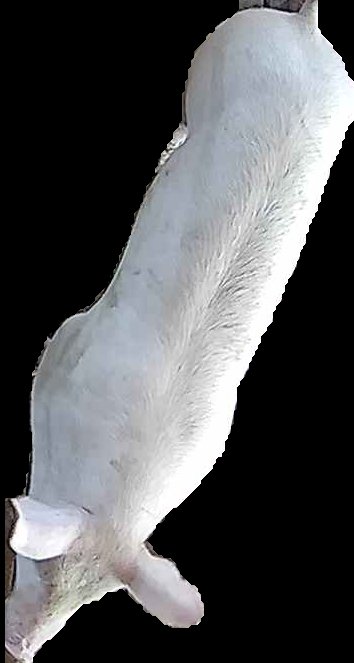Crop