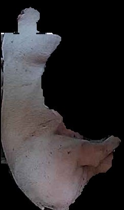 Crop