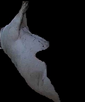 Crop