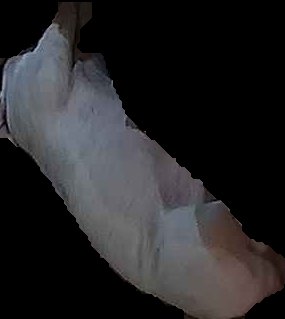 Crop