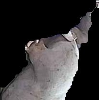 Crop