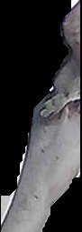 Crop