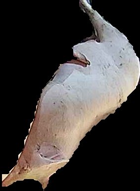 Crop