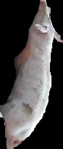 Crop