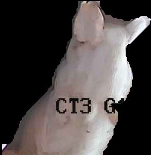 Crop