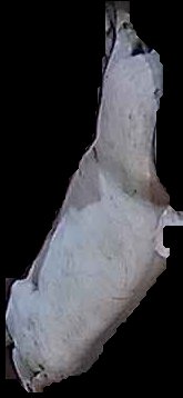 Crop