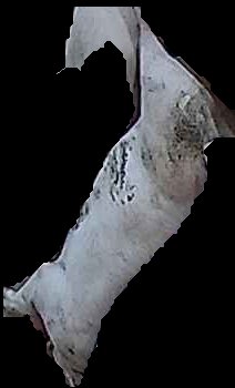 Crop