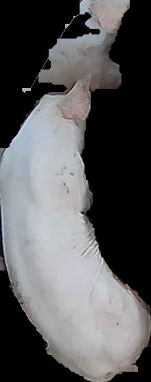 Crop