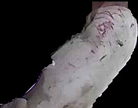 Crop