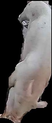 Crop