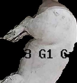 Crop