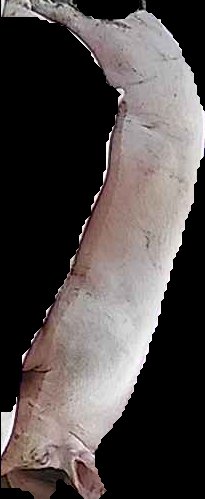Crop