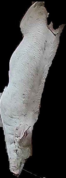 Crop