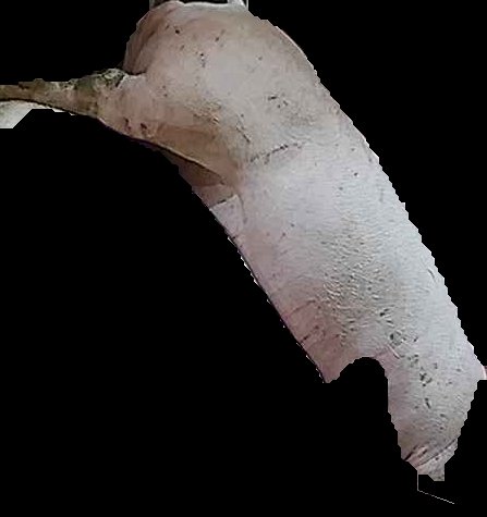 Crop