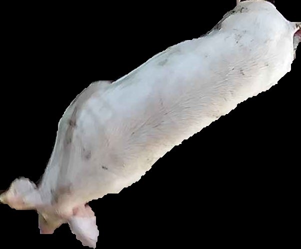 Crop